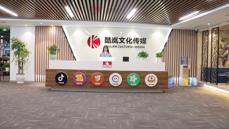 高端品牌设计：整套方案定制的核心要素